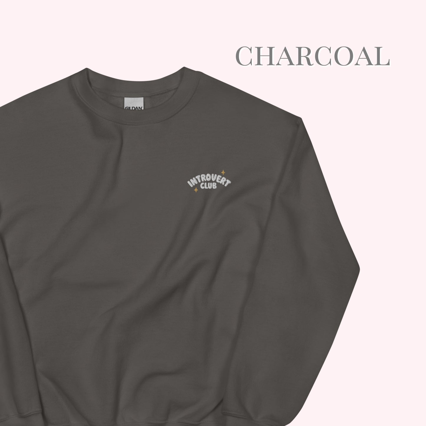 cute Dark grey sweatshirt with a small white logo on a light grey background