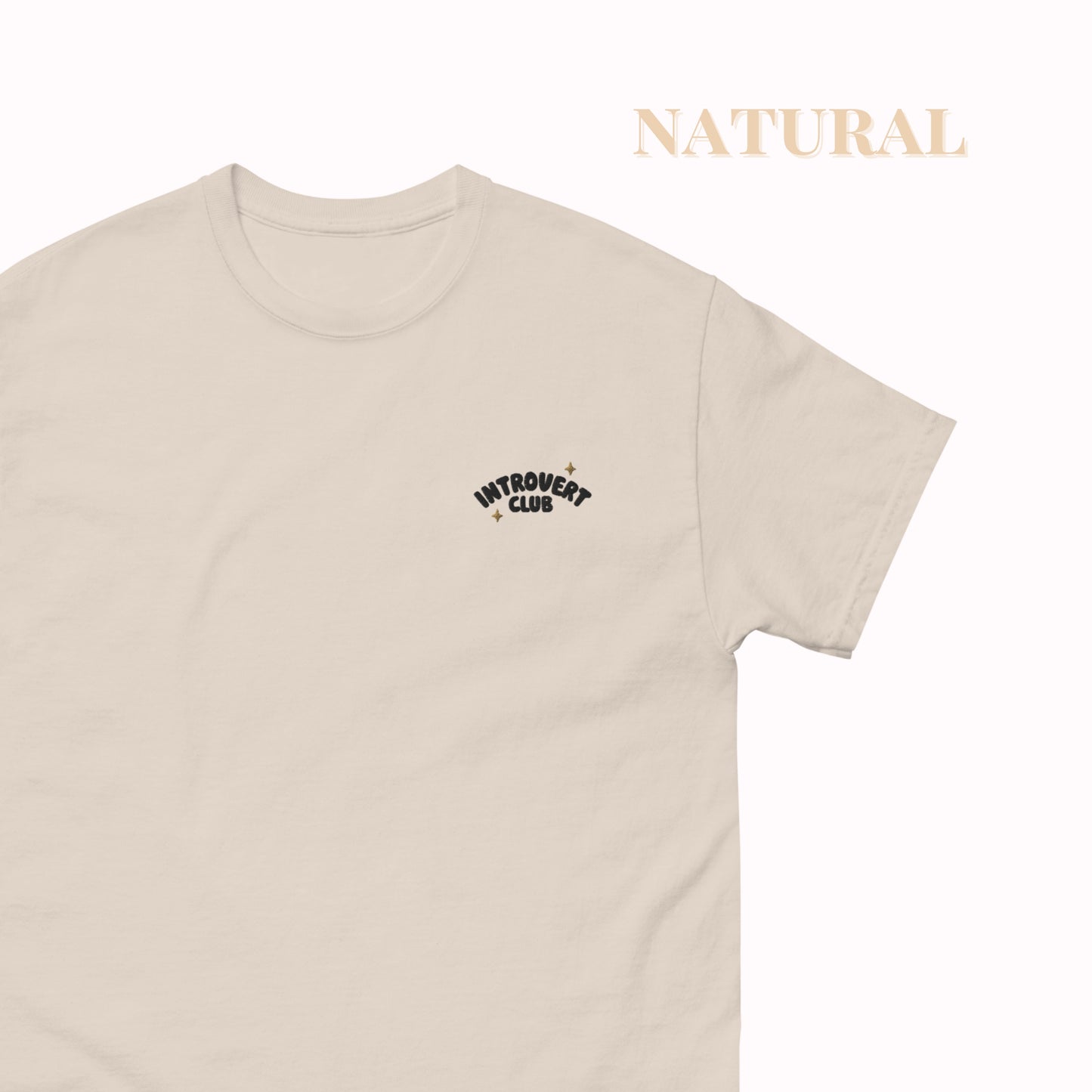 Introvert Club Embroidered T-Shirt
